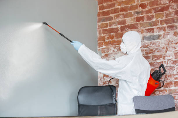 Best Airborne Mold Testing  in Grandview, WA