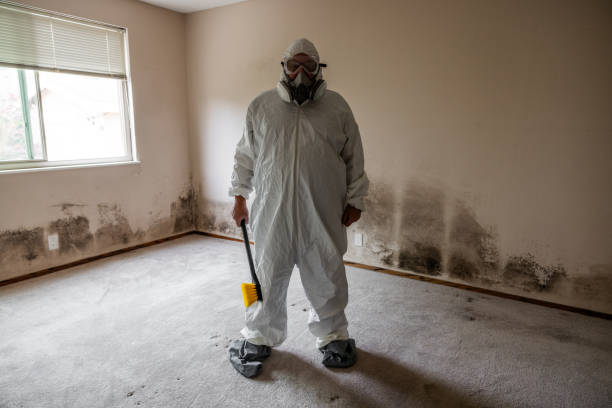 Best Mold Prevention Services  in Grandview, WA